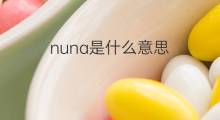 nuna是什么意思 nuna的中文翻译、读音、例句