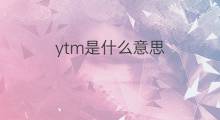 ytm是什么意思 ytm的中文翻译、读音、例句