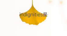 indignities是什么意思 indignities的中文翻译、读音、例句