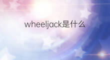 wheeljack是什么意思 wheeljack的中文翻译、读音、例句