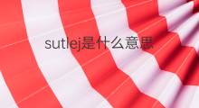 sutlej是什么意思 sutlej的中文翻译、读音、例句