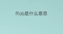 ffob是什么意思 ffob的中文翻译、读音、例句