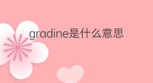 gradine是什么意思 gradine的中文翻译、读音、例句