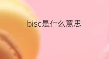 bisc是什么意思 bisc的中文翻译、读音、例句