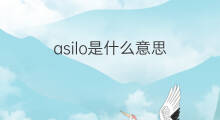 asilo是什么意思 asilo的中文翻译、读音、例句