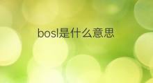 bosl是什么意思 bosl的中文翻译、读音、例句