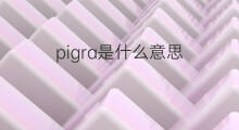 pigra是什么意思 pigra的中文翻译、读音、例句
