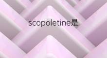 scopoletine是什么意思 scopoletine的中文翻译、读音、例句