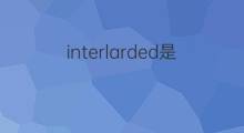 interlarded是什么意思 interlarded的中文翻译、读音、例句