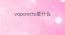 vaporetto是什么意思 vaporetto的中文翻译、读音、例句