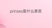 prinses是什么意思 prinses的中文翻译、读音、例句