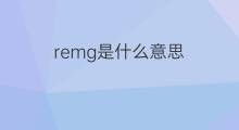 remg是什么意思 remg的中文翻译、读音、例句
