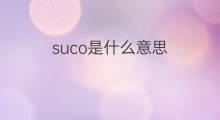 suco是什么意思 suco的中文翻译、读音、例句