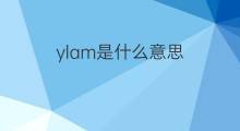 ylam是什么意思 ylam的中文翻译、读音、例句