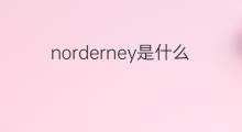 norderney是什么意思 norderney的中文翻译、读音、例句