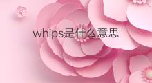whips是什么意思 whips的中文翻译、读音、例句