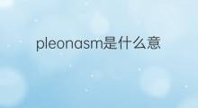 pleonasm是什么意思 pleonasm的中文翻译、读音、例句