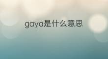 gaya是什么意思 gaya的中文翻译、读音、例句