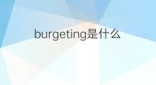 burgeting是什么意思 burgeting的中文翻译、读音、例句