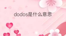 dodos是什么意思 dodos的中文翻译、读音、例句