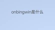onbingwin是什么意思 onbingwin的中文翻译、读音、例句