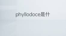 phyllodoce是什么意思 phyllodoce的中文翻译、读音、例句