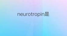 neurotropin是什么意思 neurotropin的中文翻译、读音、例句