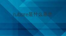 rubare是什么意思 rubare的中文翻译、读音、例句