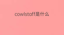 cowlstaff是什么意思 cowlstaff的中文翻译、读音、例句