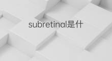 subretinal是什么意思 subretinal的中文翻译、读音、例句