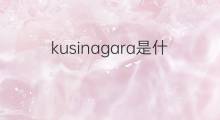 kusinagara是什么意思 kusinagara的中文翻译、读音、例句