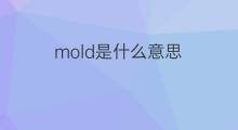 mold是什么意思 mold的中文翻译、读音、例句