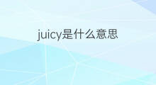 juicy是什么意思 juicy的中文翻译、读音、例句