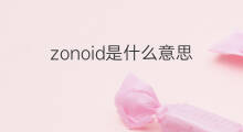 zonoid是什么意思 zonoid的中文翻译、读音、例句