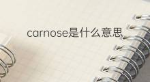carnose是什么意思 carnose的中文翻译、读音、例句