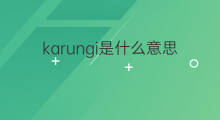 karungi是什么意思 karungi的中文翻译、读音、例句
