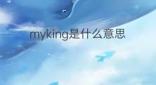 myking是什么意思 myking的中文翻译、读音、例句