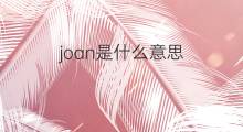 joan是什么意思 joan的中文翻译、读音、例句