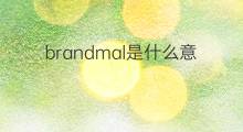 brandmal是什么意思 brandmal的中文翻译、读音、例句