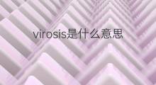 virosis是什么意思 virosis的中文翻译、读音、例句