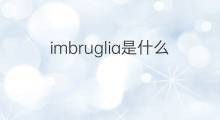 imbruglia是什么意思 imbruglia的中文翻译、读音、例句