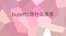 busetta是什么意思 busetta的中文翻译、读音、例句