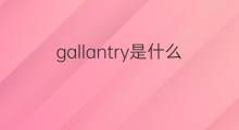 gallantry是什么意思 gallantry的中文翻译、读音、例句