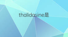 thalidasine是什么意思 thalidasine的中文翻译、读音、例句