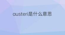 austeri是什么意思 austeri的中文翻译、读音、例句