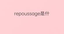 repoussage是什么意思 repoussage的中文翻译、读音、例句