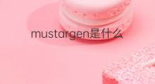 mustargen是什么意思 mustargen的中文翻译、读音、例句