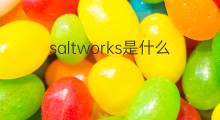 saltworks是什么意思 saltworks的中文翻译、读音、例句