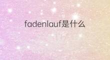 fadenlauf是什么意思 fadenlauf的中文翻译、读音、例句