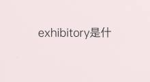 exhibitory是什么意思 exhibitory的中文翻译、读音、例句